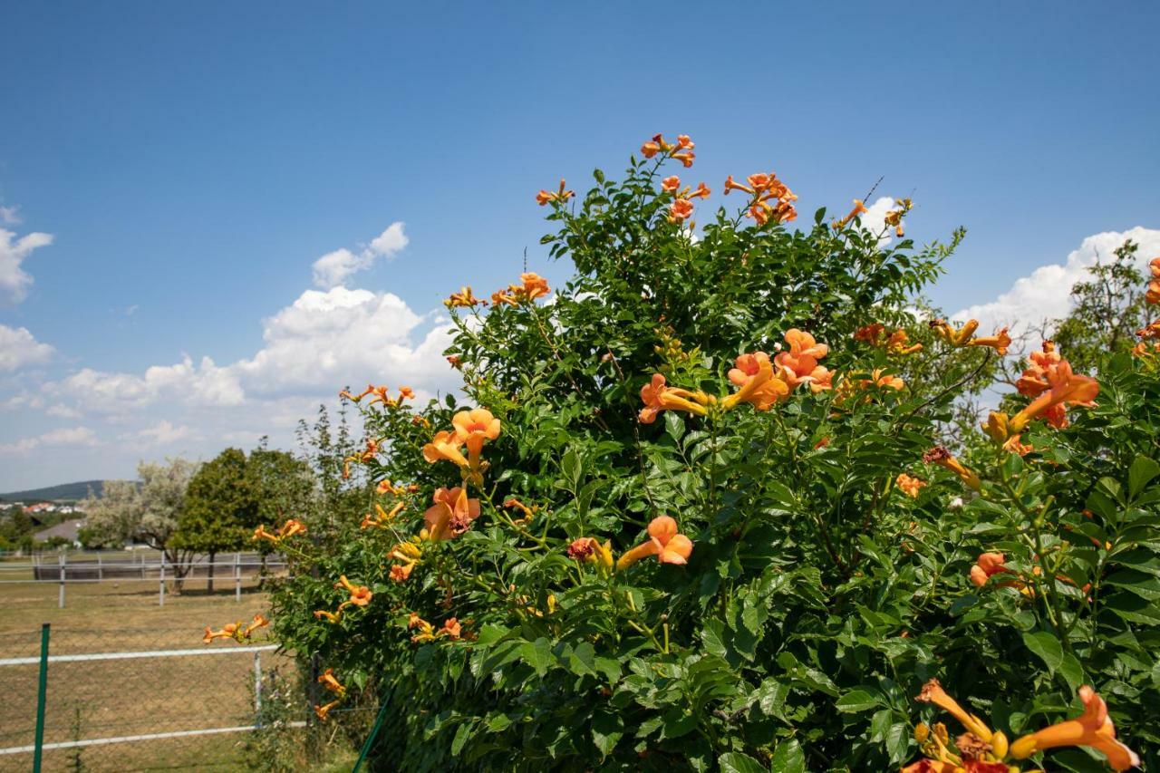 ברייטנברון Country Lake Villa מראה חיצוני תמונה